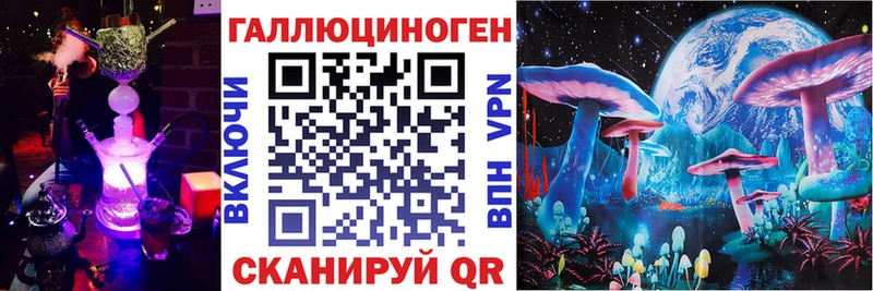 закладка  Новосибирск  Псилоцибиновые грибы мухоморы 